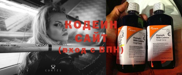 сатива Дмитровск