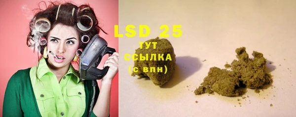 сатива Дмитровск