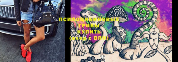 сатива Дмитровск