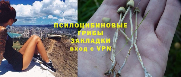 сатива Дмитровск