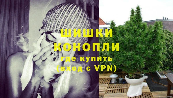 сатива Дмитровск