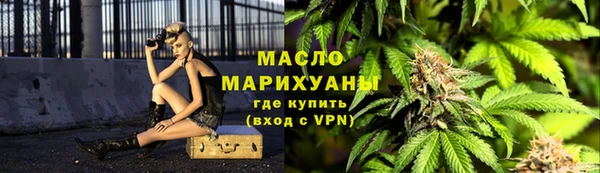 сатива Дмитровск