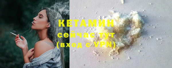 сатива Дмитровск
